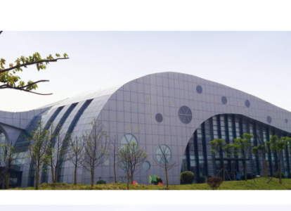 广元会议中心外景网架工程